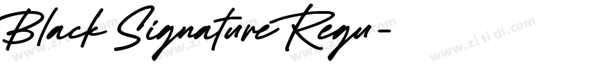 Black Signature Regu字体转换